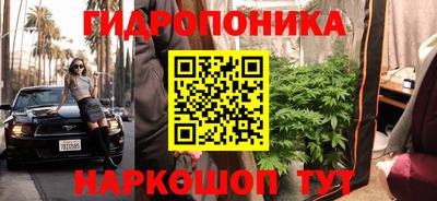 метадон Будённовск